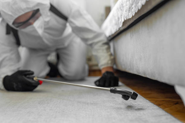 Professional Termite Control technician working in Wallburg, NC